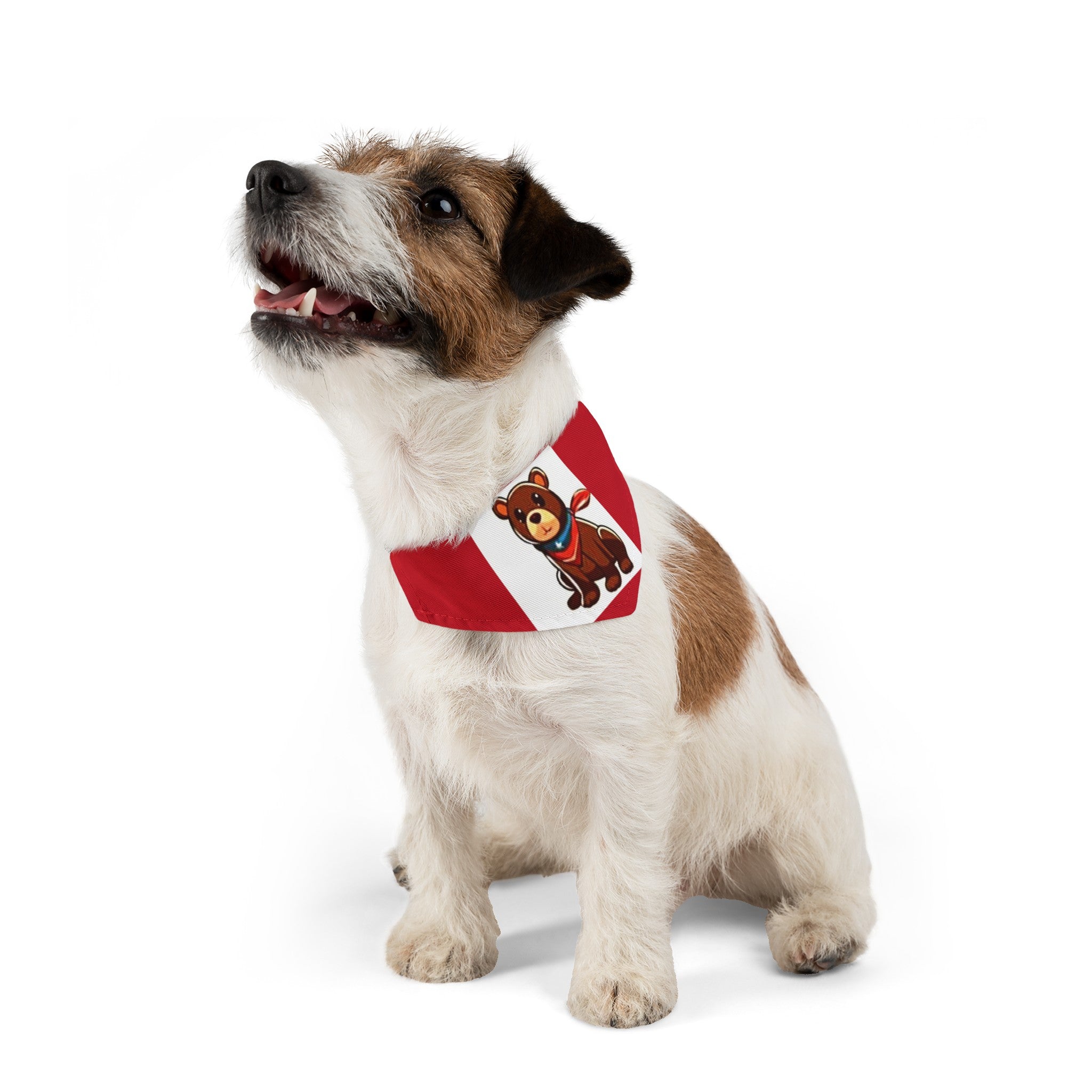 Pet Bandana Collar
